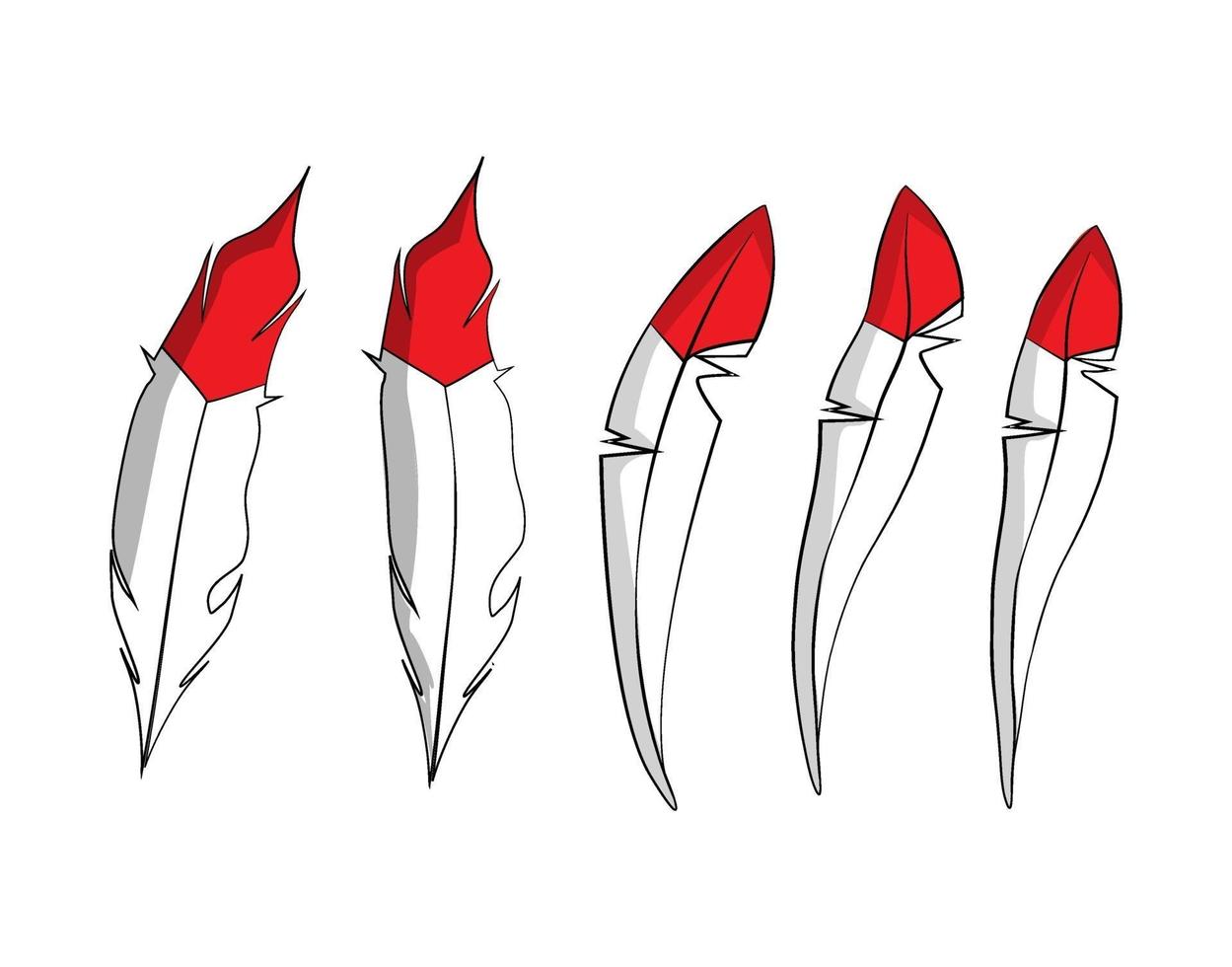 Bird feather illustration vector image