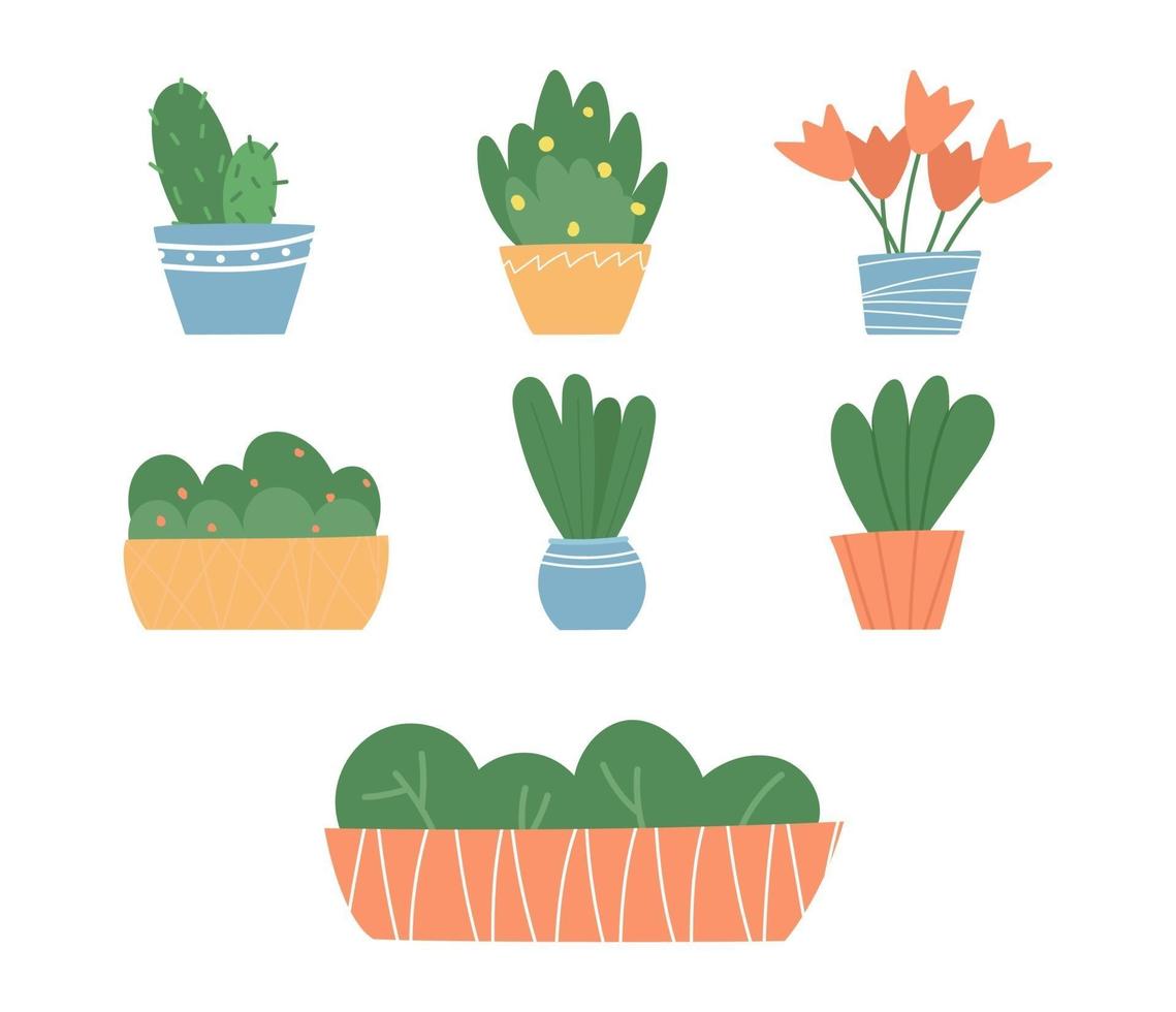 Collection of cute hand drawn house plants in pots. Vector illustration