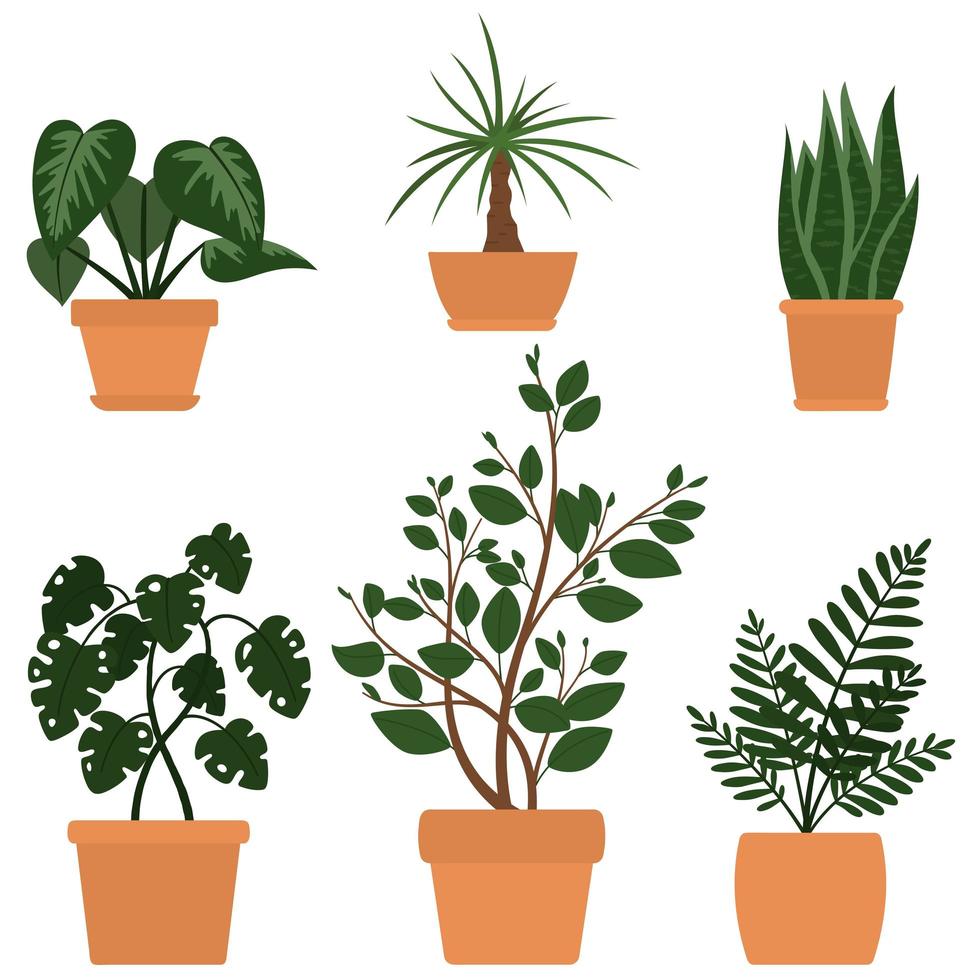 Set of six illustrations of cute cartoon plants in pots. Vector for cards, invitations, sticker, banner