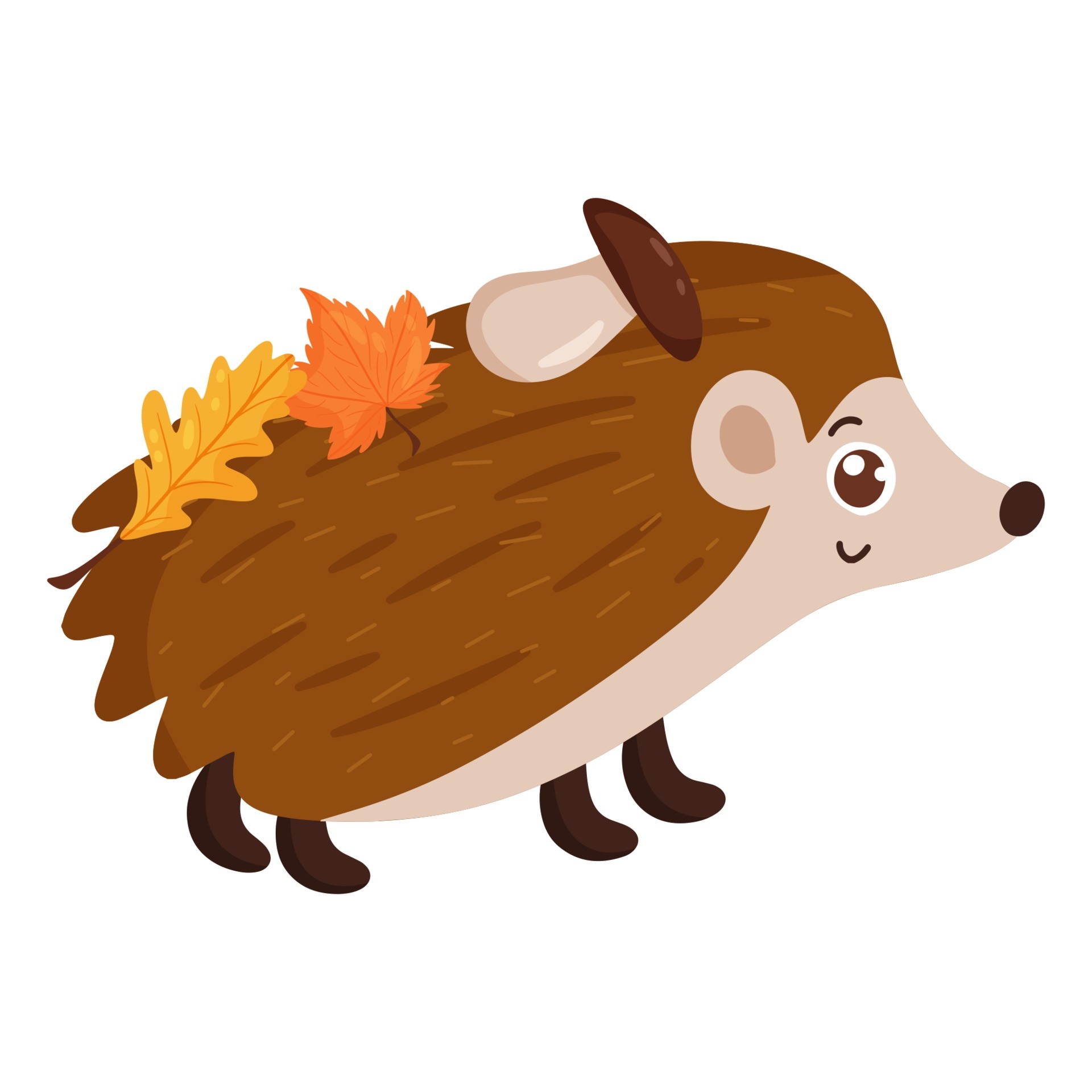 Hedgehog with mushrooms and autumn leaves. Forest animal. Vector cartoon  style. Isolated on a white background 5237205 Vector Art at Vecteezy