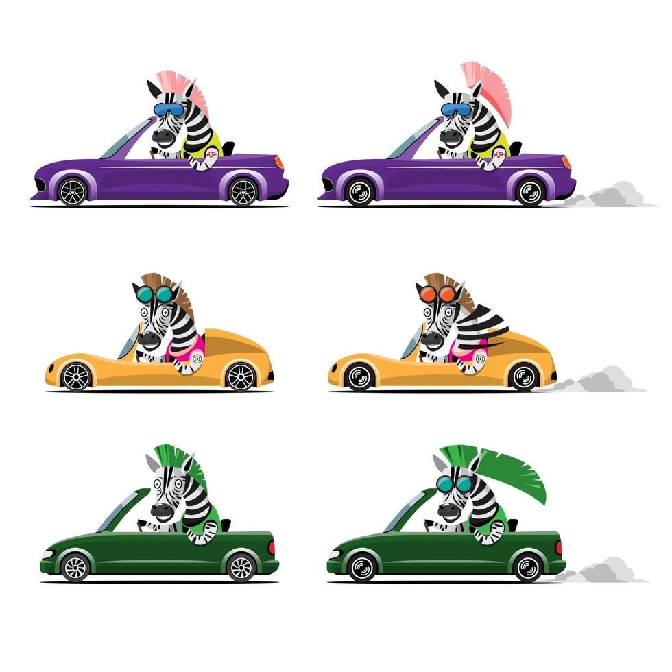 Animal driver, pets vehicle and zebra happy in car. vector