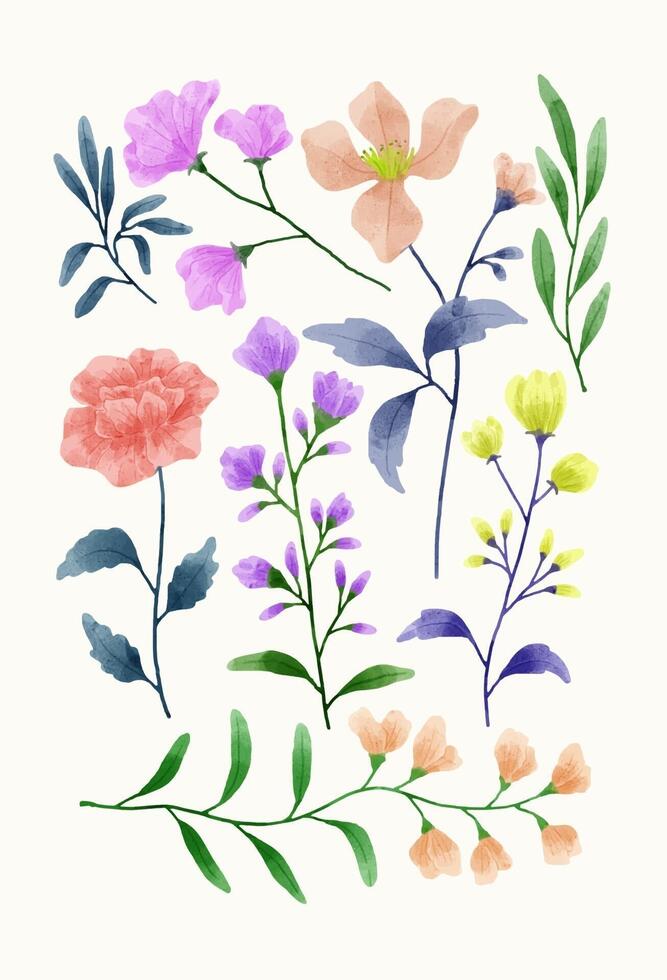 un conjunto de flores pintadas en acuarela para crear un trabajo de diseñador vector