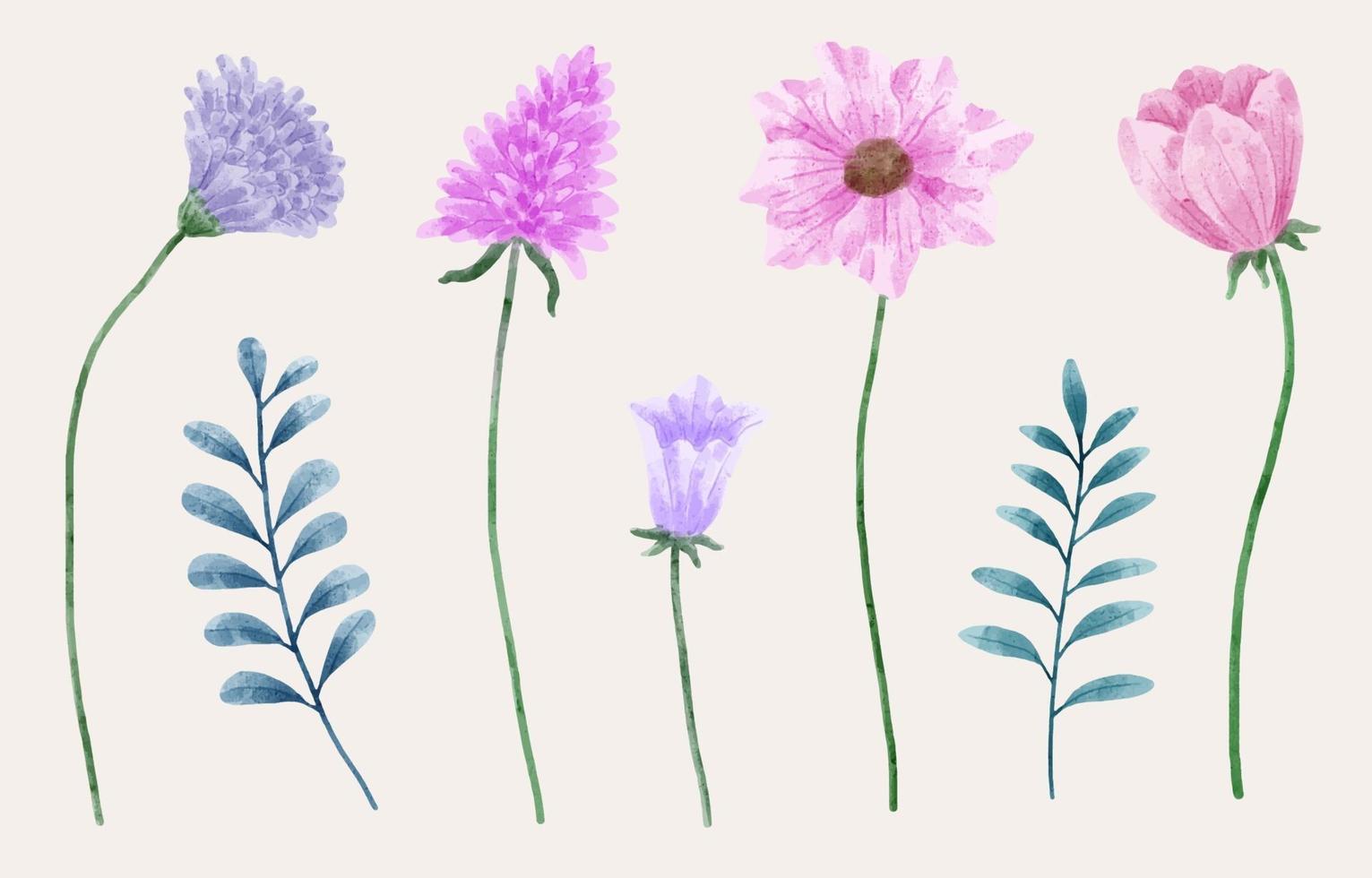 un conjunto de flores pintadas en acuarela para crear un trabajo de diseñador vector