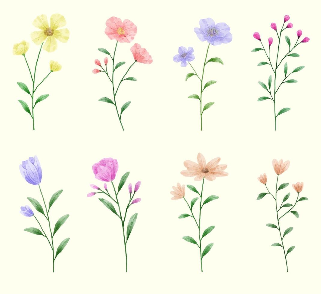 un conjunto de flores pintadas en acuarela para crear un trabajo de diseñador vector