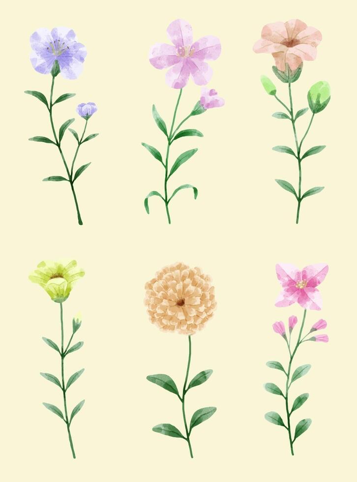 un conjunto de flores pintadas en acuarela para crear un trabajo de diseñador vector