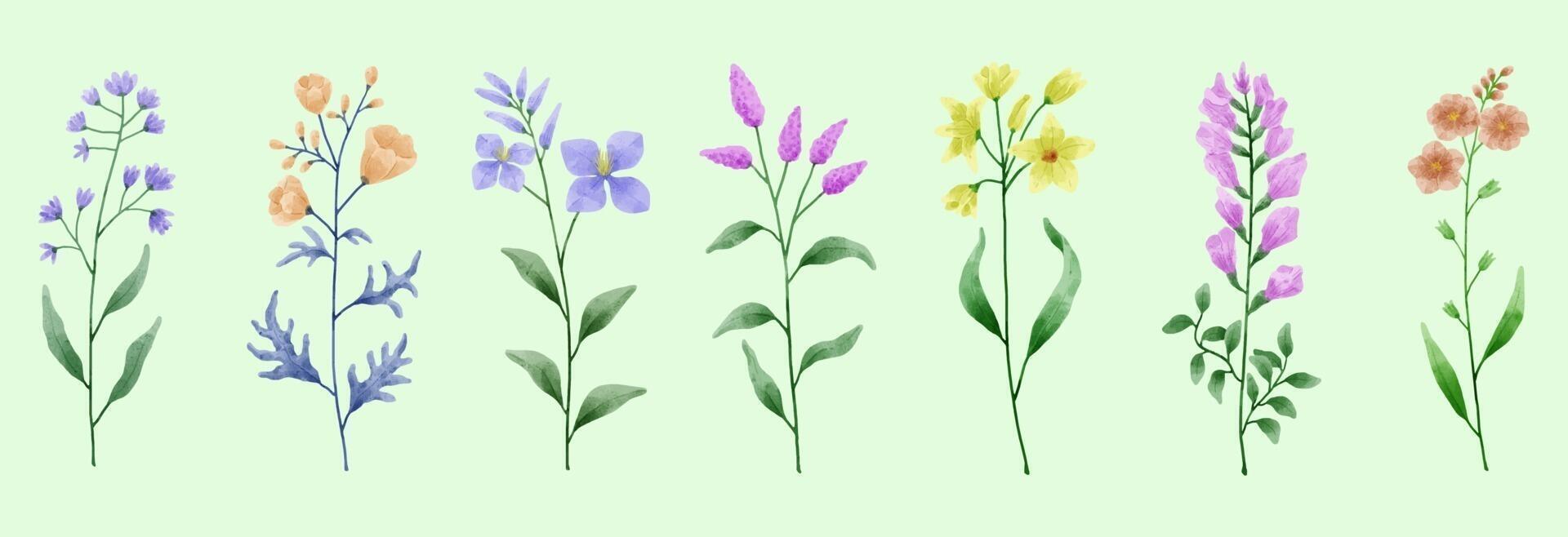 un conjunto de flores pintadas en acuarela para crear un trabajo de diseñador vector