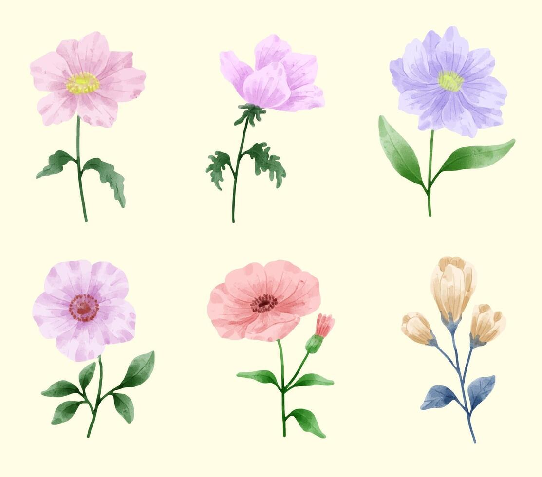 un conjunto de flores pintadas en acuarela para crear un trabajo de diseñador vector