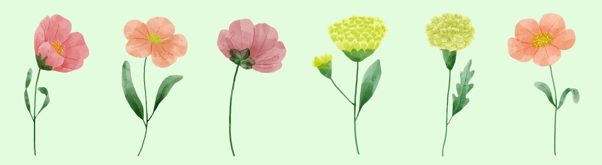 un conjunto de flores pintadas en acuarela para crear un trabajo de diseñador vector