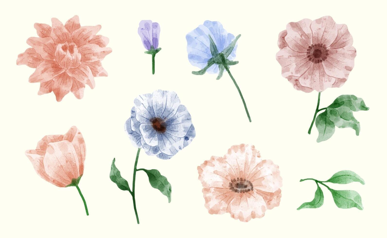 A set of flowers painted in watercolor for designer work create vector