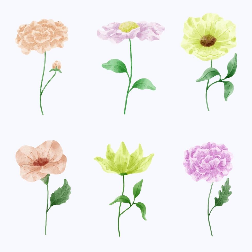 un conjunto de flores pintadas en acuarela para crear un trabajo de diseñador vector