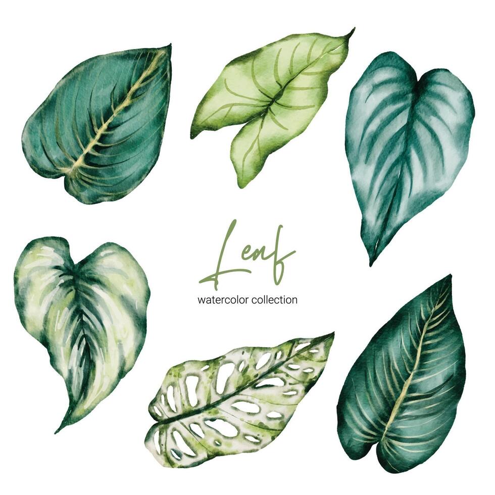 Set of beautiful separate parts leaf of plants in water colors vector