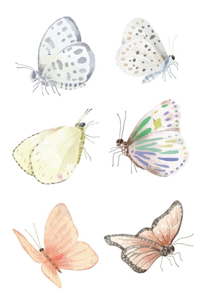 conjunto de objeto vector ilustración acuarela pintura de varias mariposas