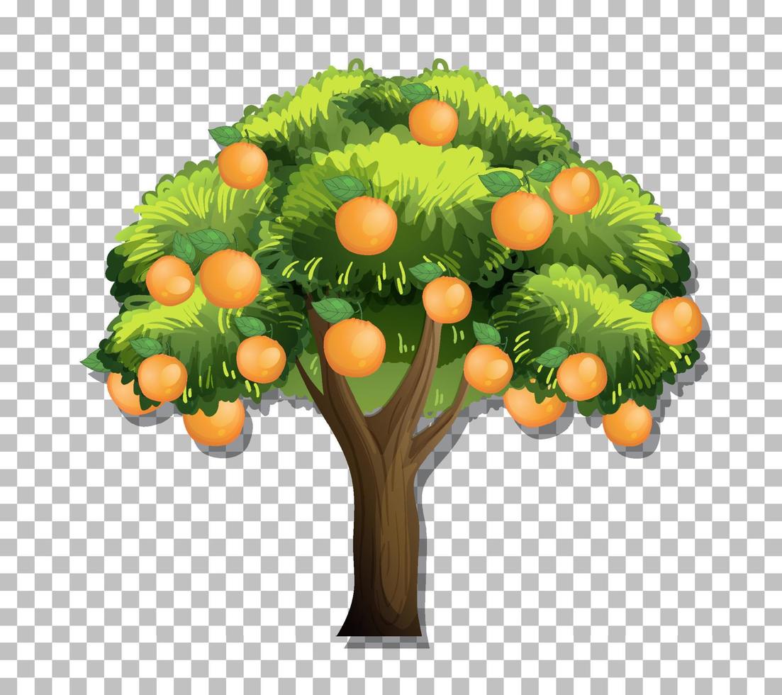 Orange tree on grid background vector