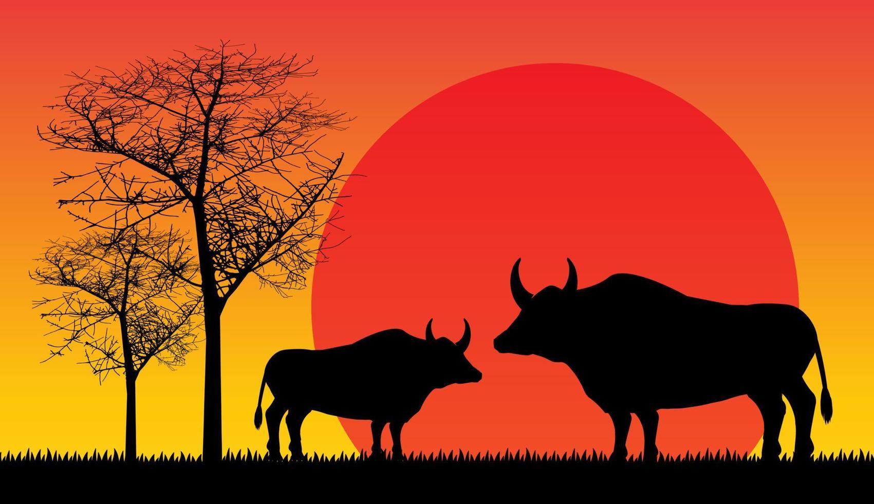 búfalo, safari vida silvestre áfrica puesta de sol, animales vector aislado