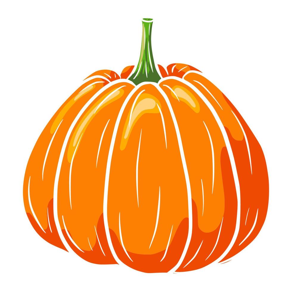 Juicy Pumpkin. Autumn Food Icon. Ripe squash sketch. Element for autumn decorative design, halloween invitation, harvest, sticker, print, logo, menu, recipe vector