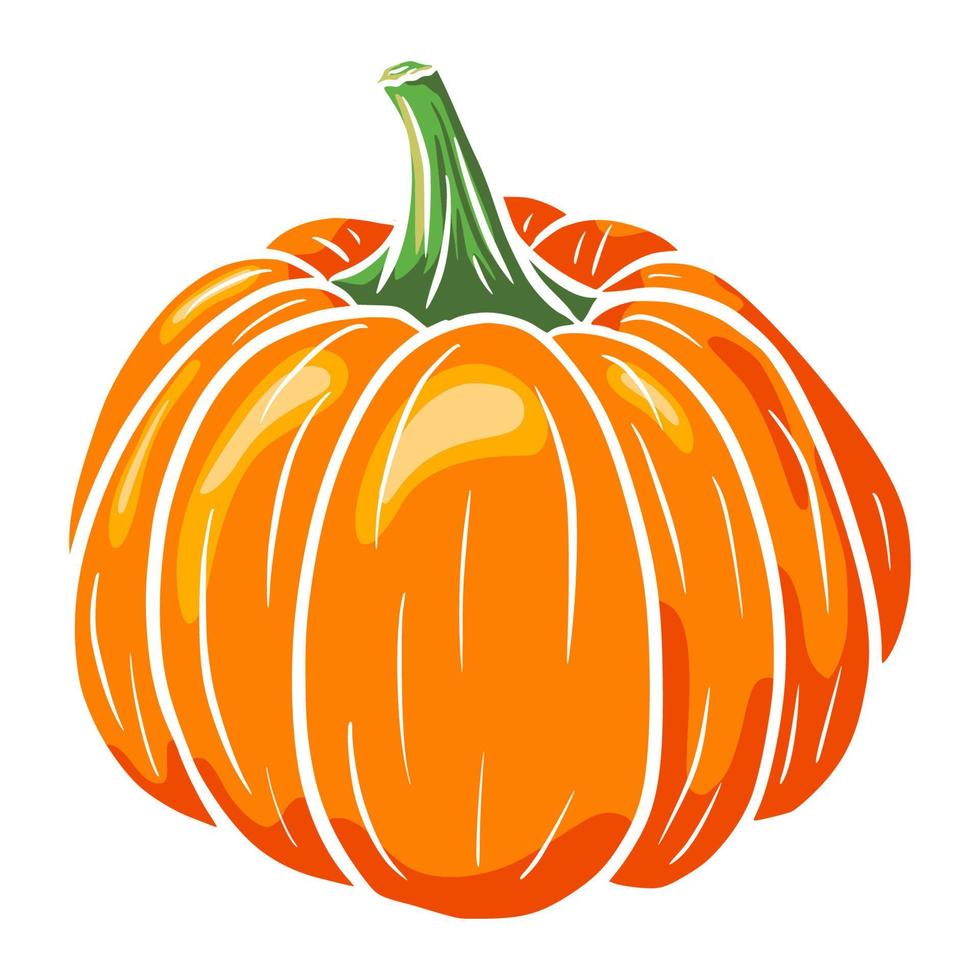 calabaza madura. icono de calabaza de invierno. boceto de calabaza dibujado a mano. elemento para el diseño decorativo de otoño, invitación de halloween, cosecha, pegatina, impresión, logotipo, menú, receta vector