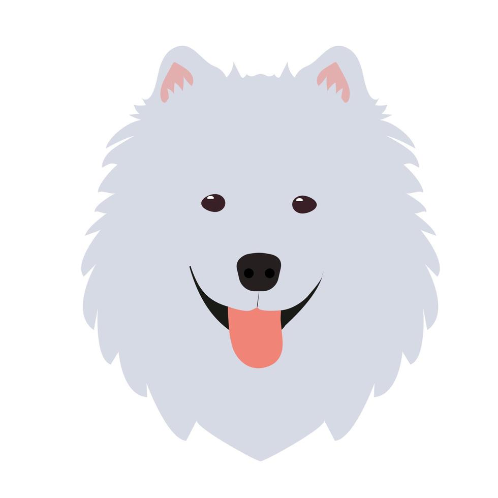 Dog samoyed face. Vector illustration.