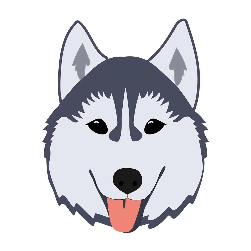 caso de husky. ilustración vectorial vector