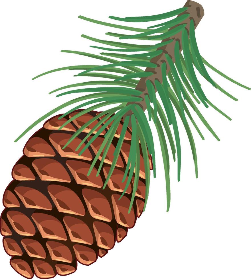 Pine corn in cartoon style isolated vector