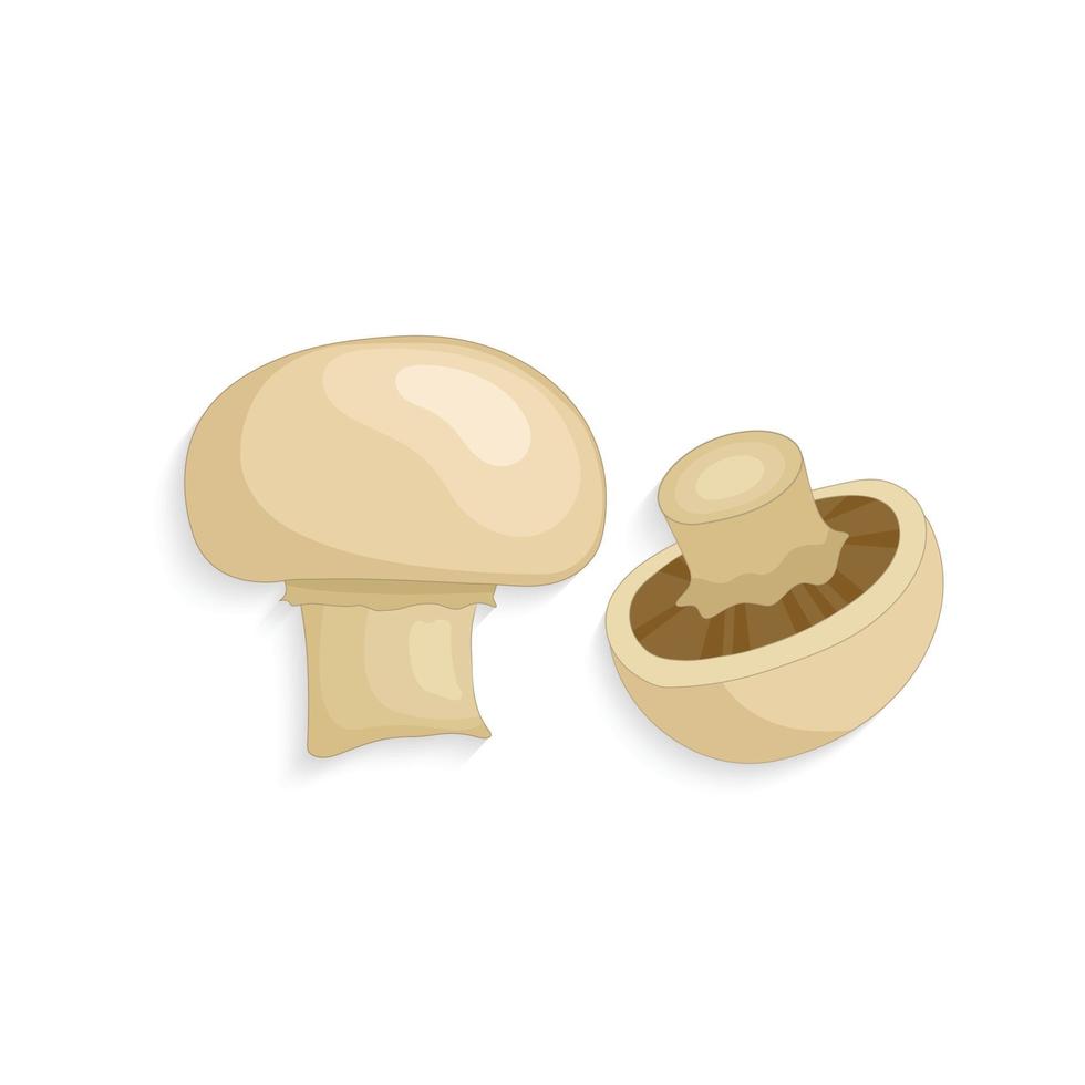 realistic champignon mushrooms illustration vector