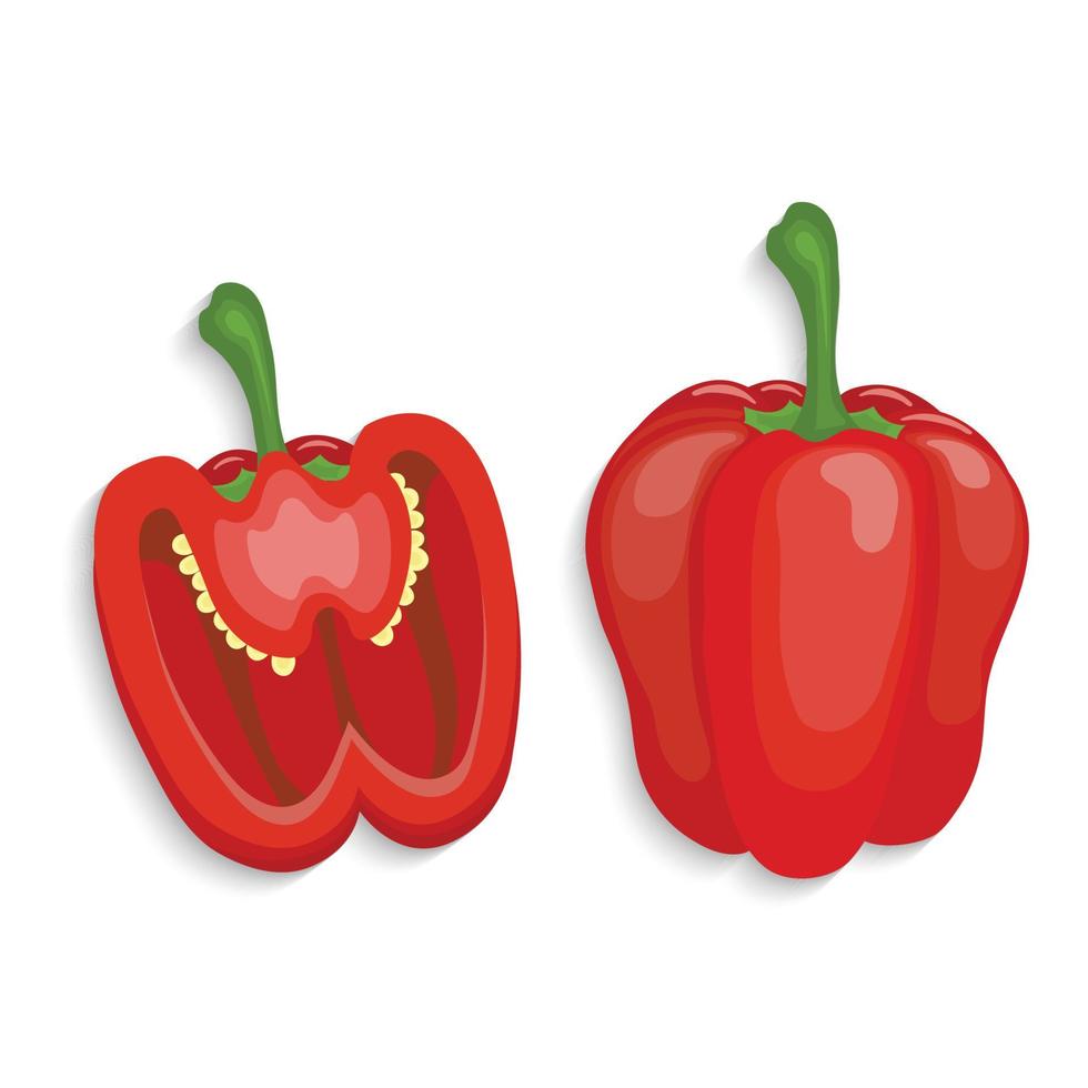 red bell pepper vector