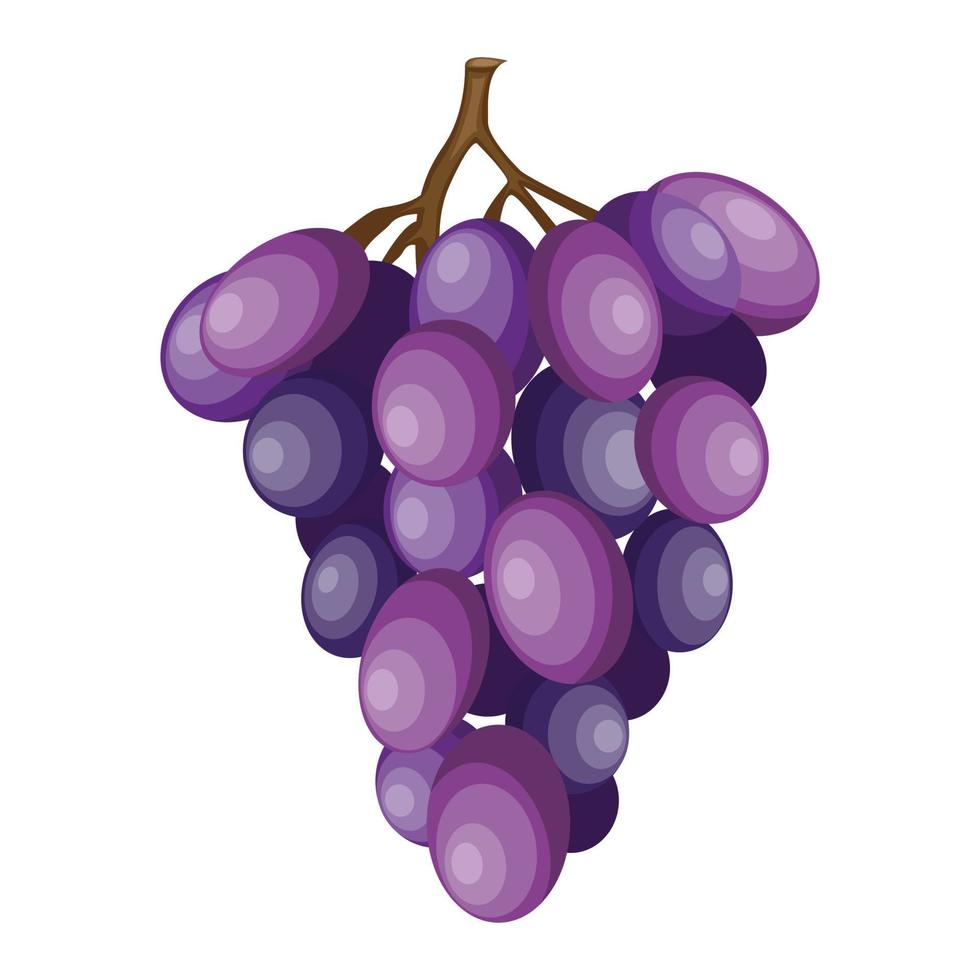 Bunch of grapes vector illustration