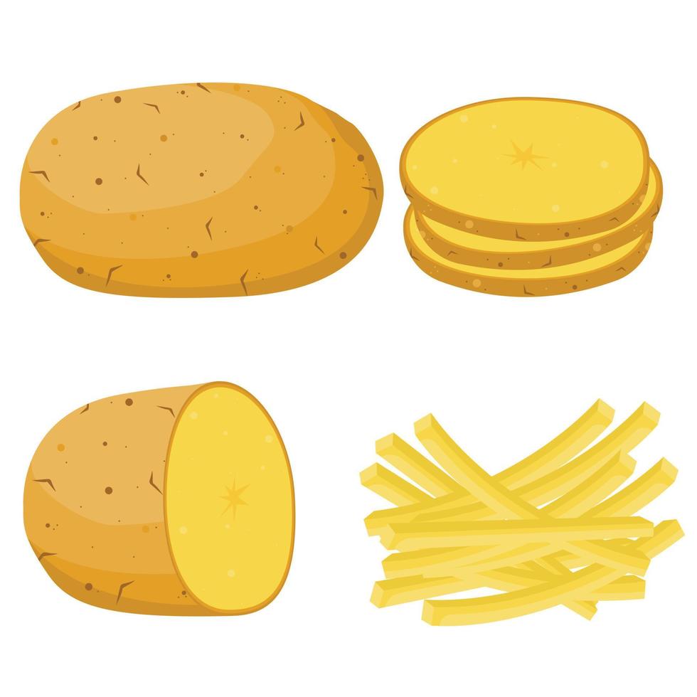 Potato set vector illustration