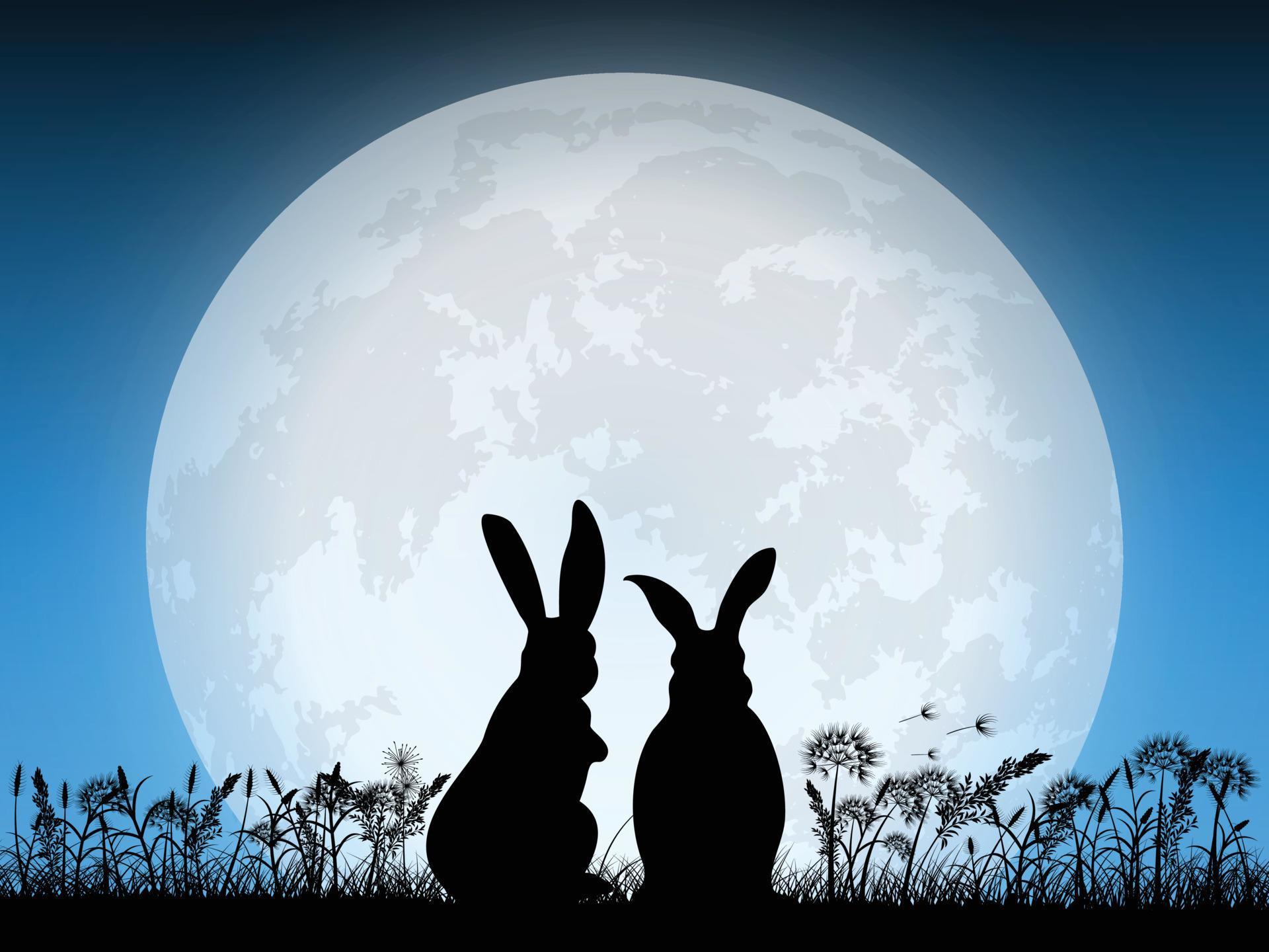 rabbits and full moon 5241325 Vector Art at Vecteezy