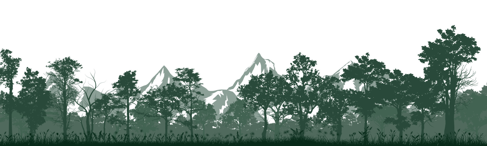 trees and grass silhouette 5241355 Vector Art at Vecteezy