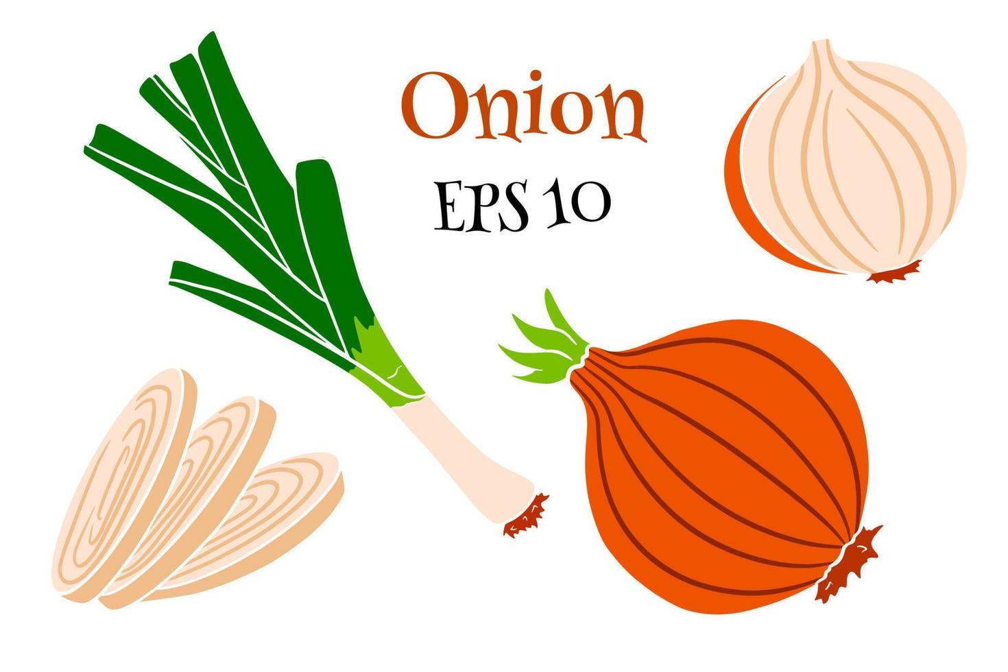 Bow set. Fresh green onions and onions whole and cut. vector