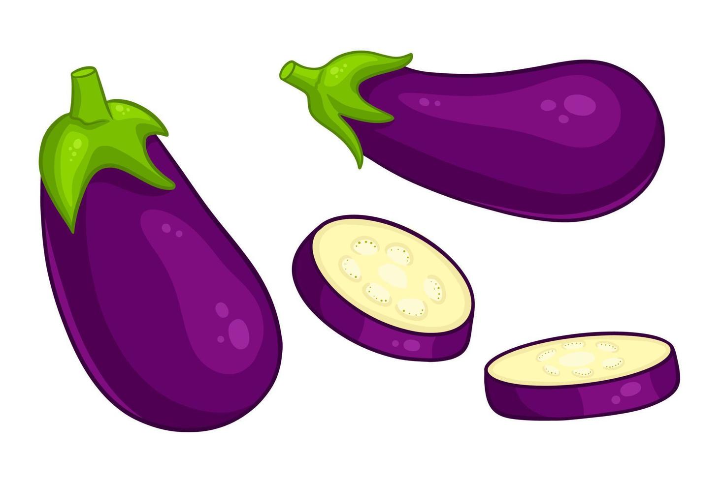 Eggplant set. Whole eggplant and cut wedges. vector