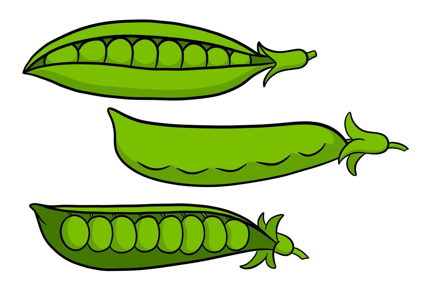 Peas set. Closed and open green pea pods. vector