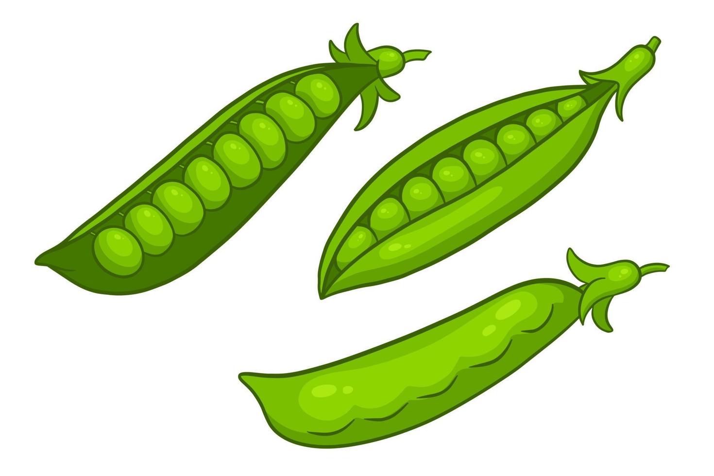 Peas set. Closed and open green pea pods. vector