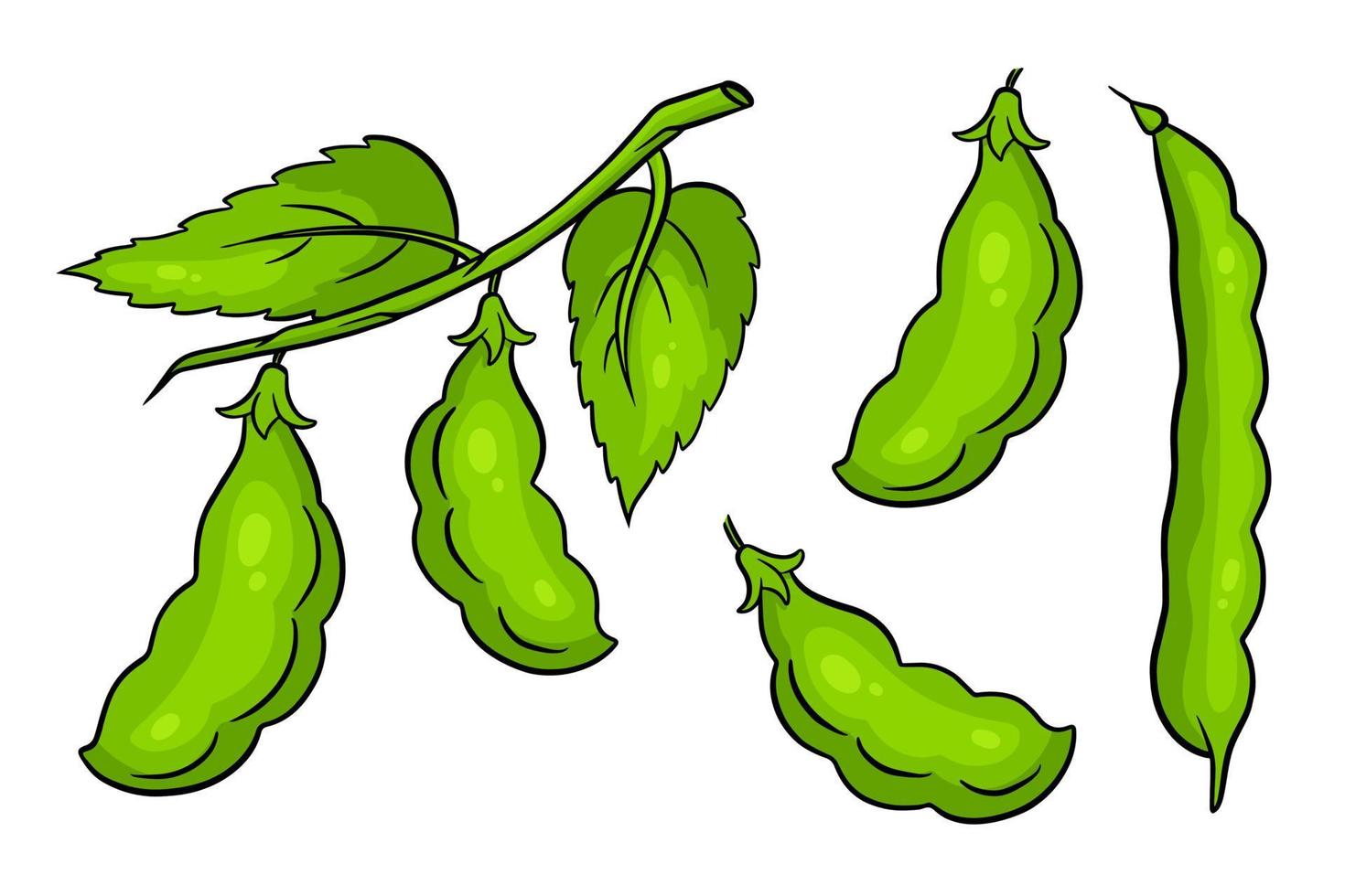Beans set. Fresh green beans. In a cartoon style. vector