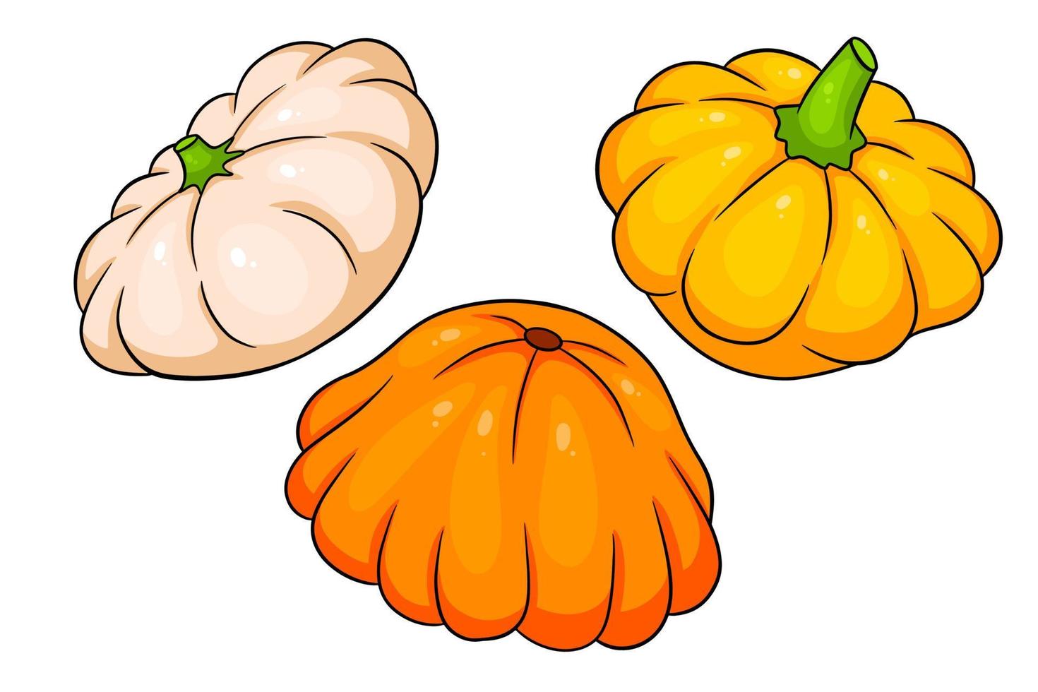 conjunto de calabaza. calabaza fresca amarilla, naranja y beige. vector