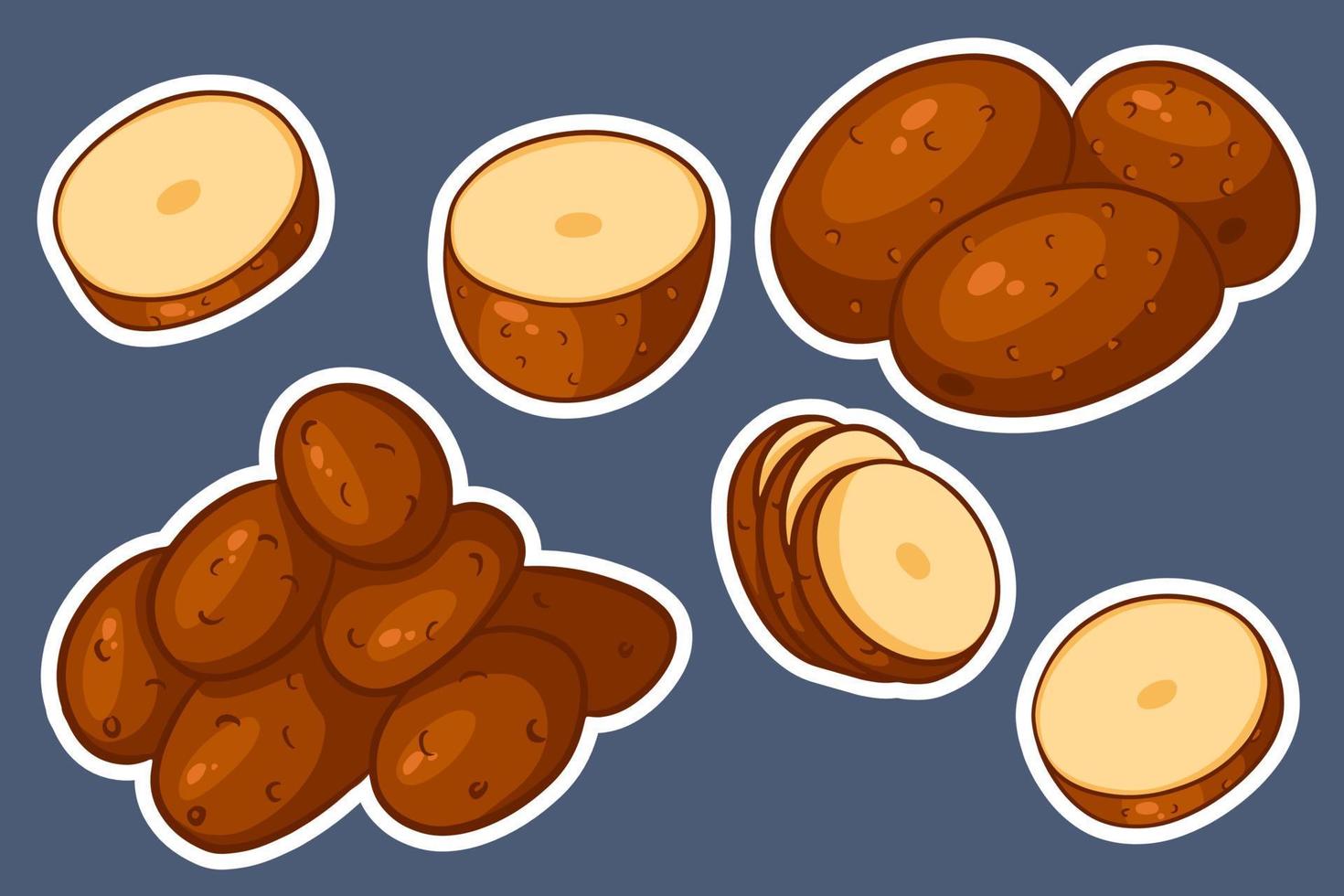 Set of potatoes. Whole potatoes, cut into wedges, half. vector