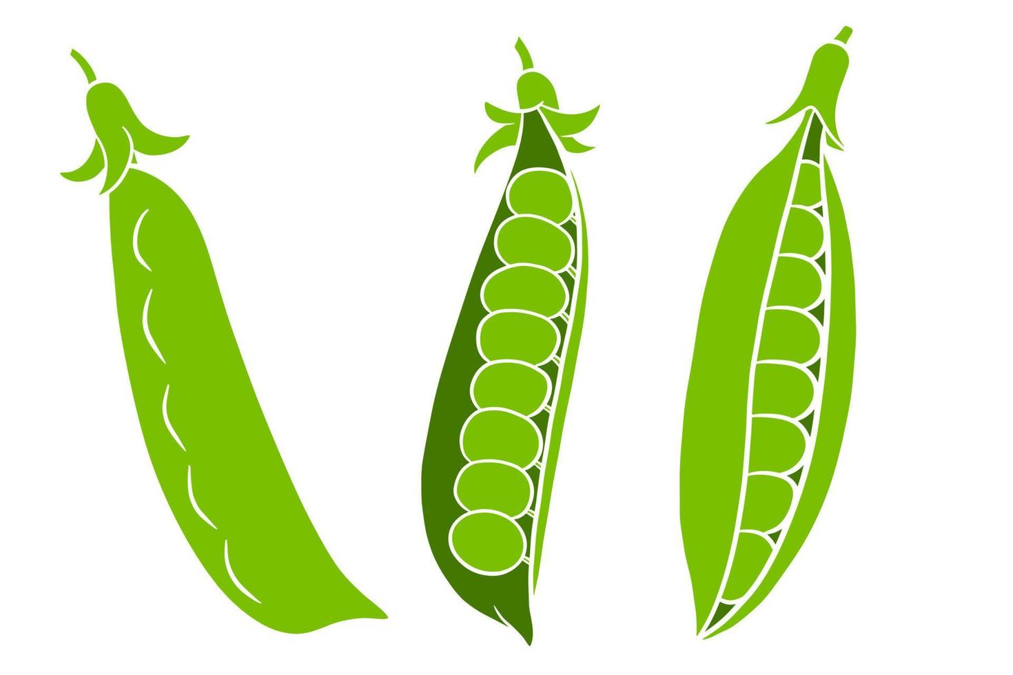 Peas set. Closed and open green pea pods. vector