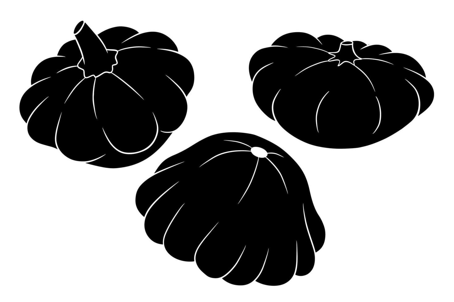 conjunto de calabaza. silueta de calabaza vegetal fresca. vector