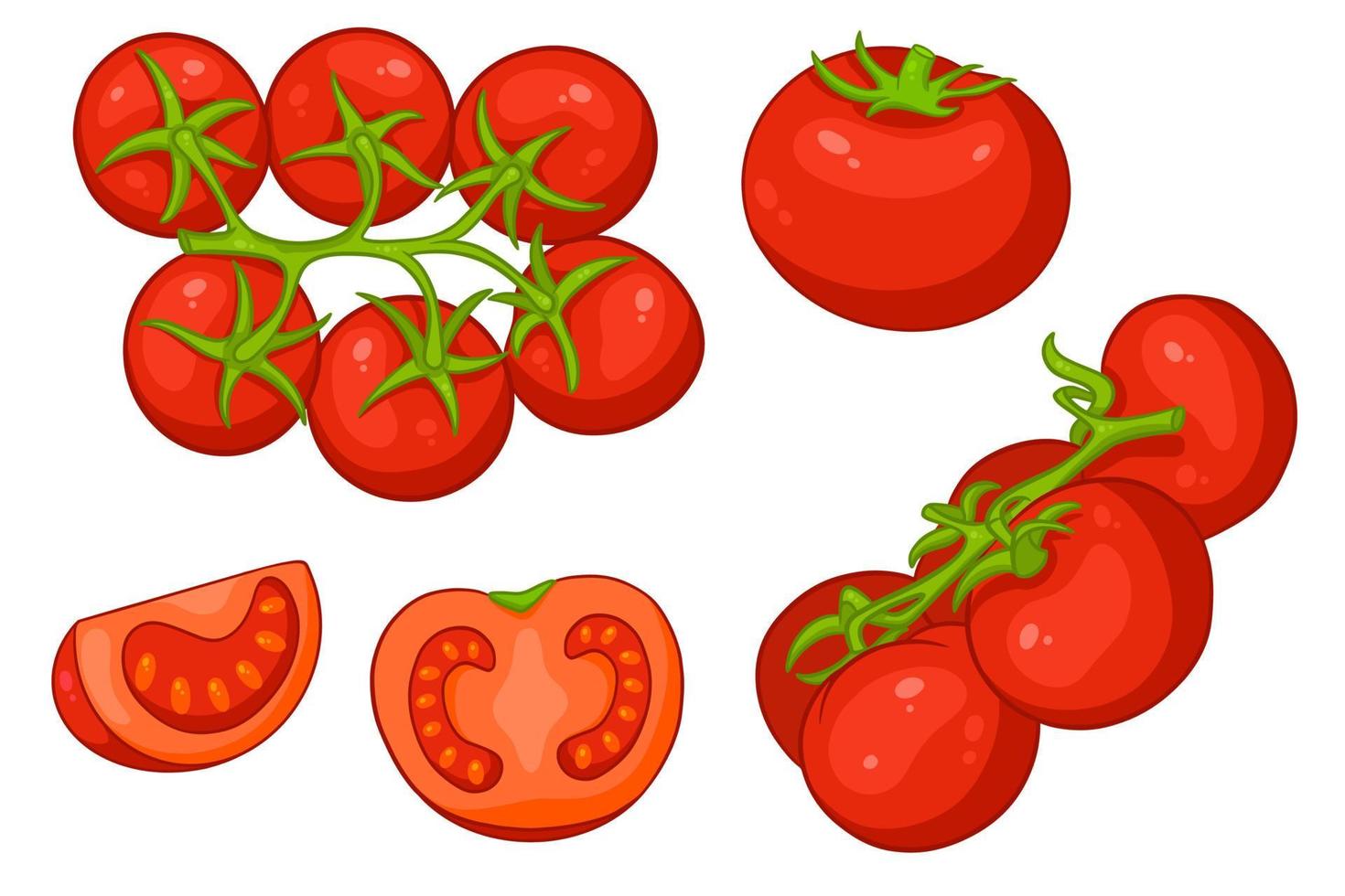 Tomatoes set. Fresh tomatoes, tomatoes on a branch, a wedge and a half. vector