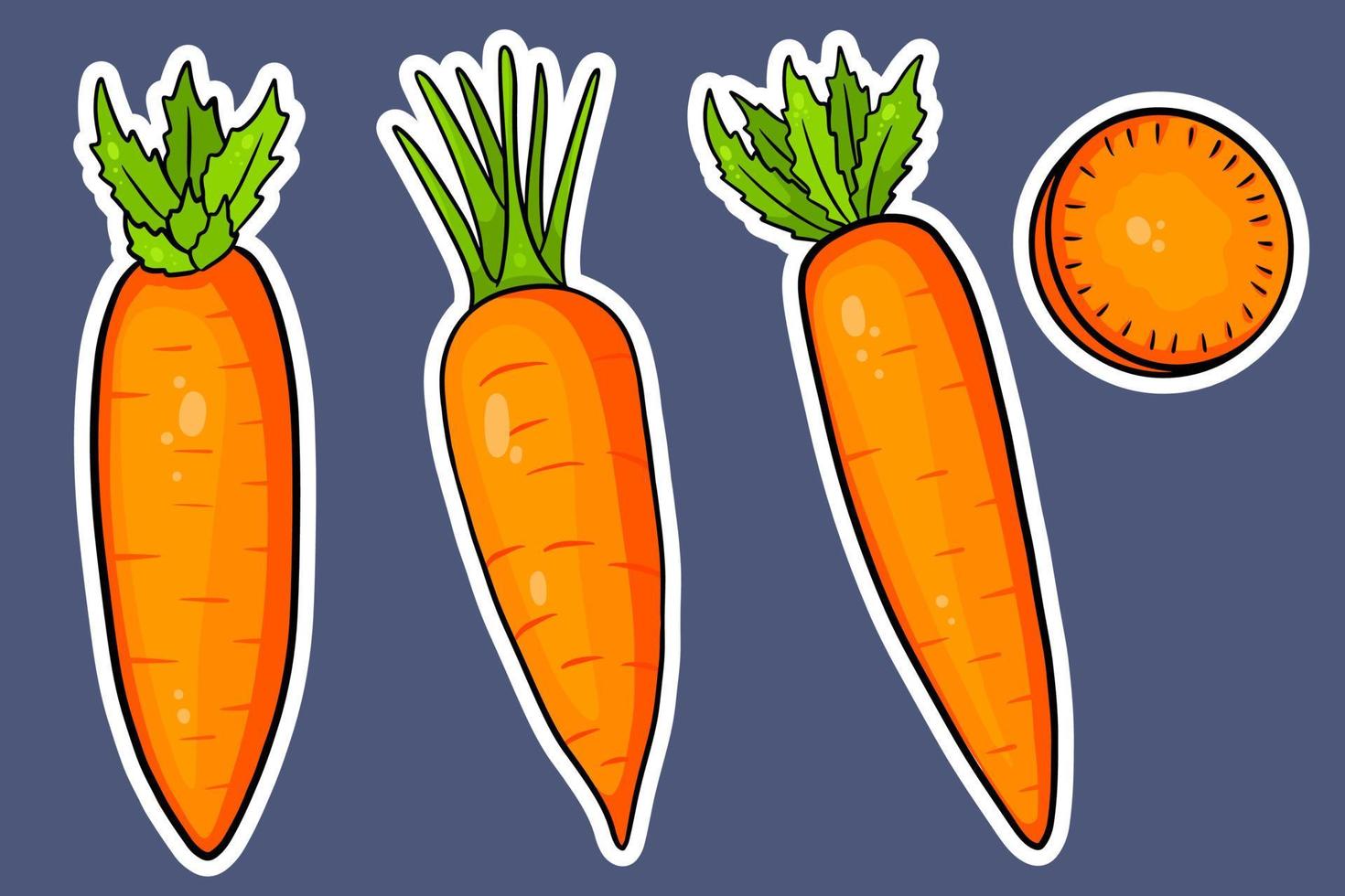 Carrot set. Fresh carrots and slices. In cartoon style stickers. vector