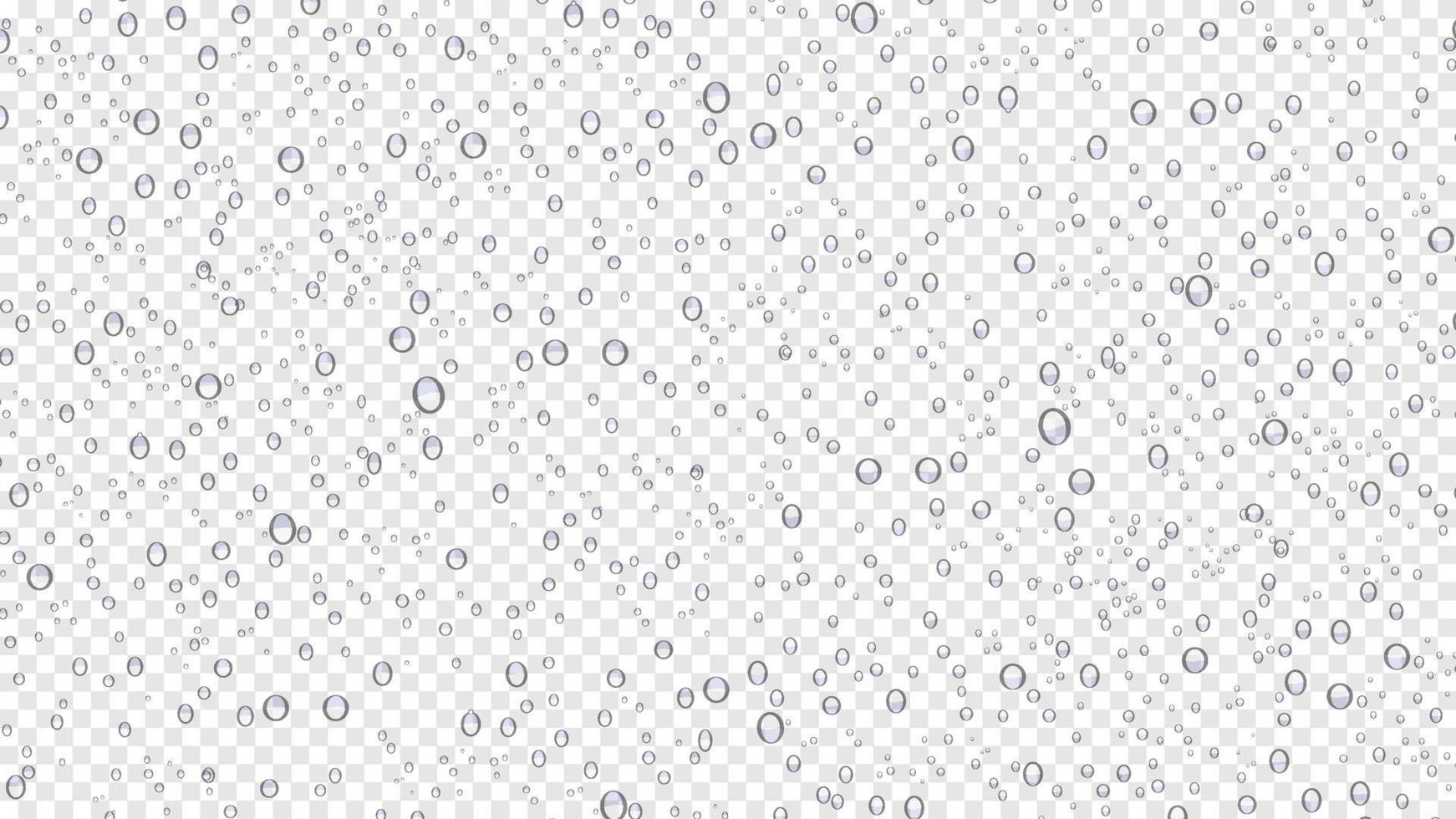 Drops water rain on transparent background, realistic style, vector elements