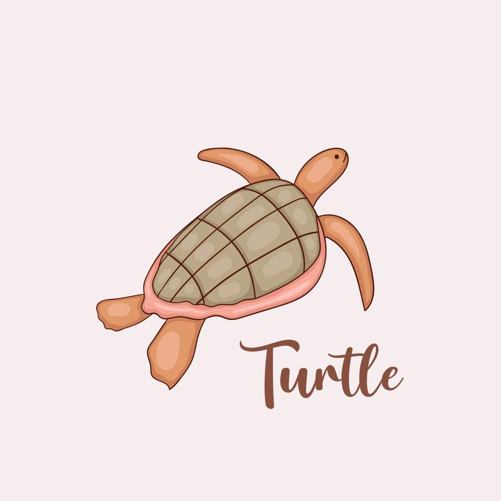 Colorful Hand drawn turtle illustration vector