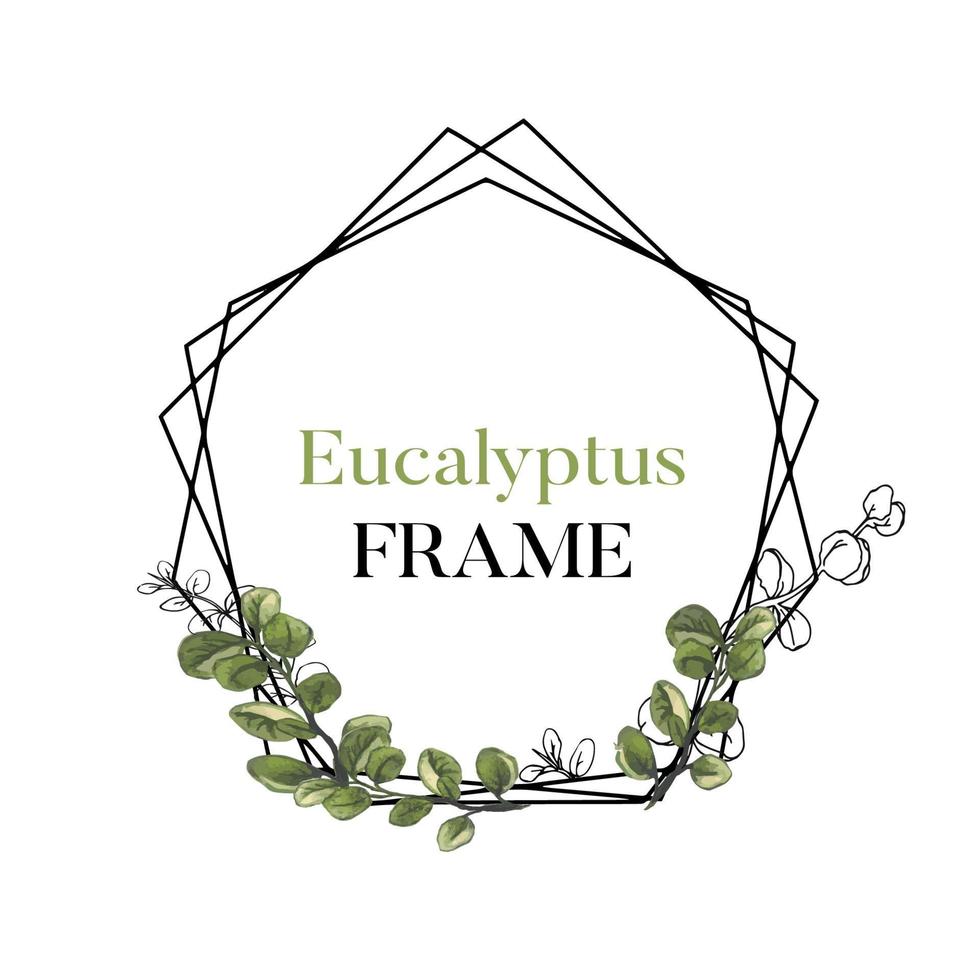 Eucalyptus leaf frame for invite, watercolor and line art leaves vector