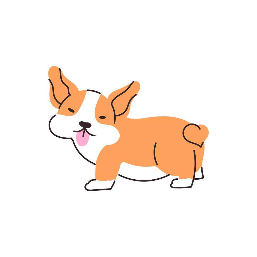 Cute corgi dog cartoon illustration. A funny puppy with a tongue sticking out. Vector