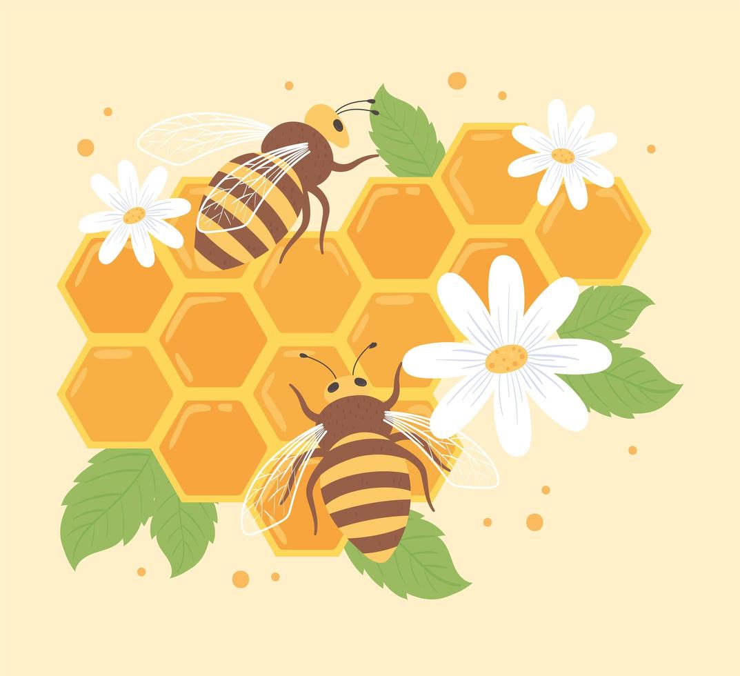 bees and honeycomb vector