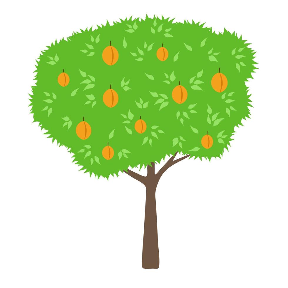 Peach tree. Cartoon style. vector
