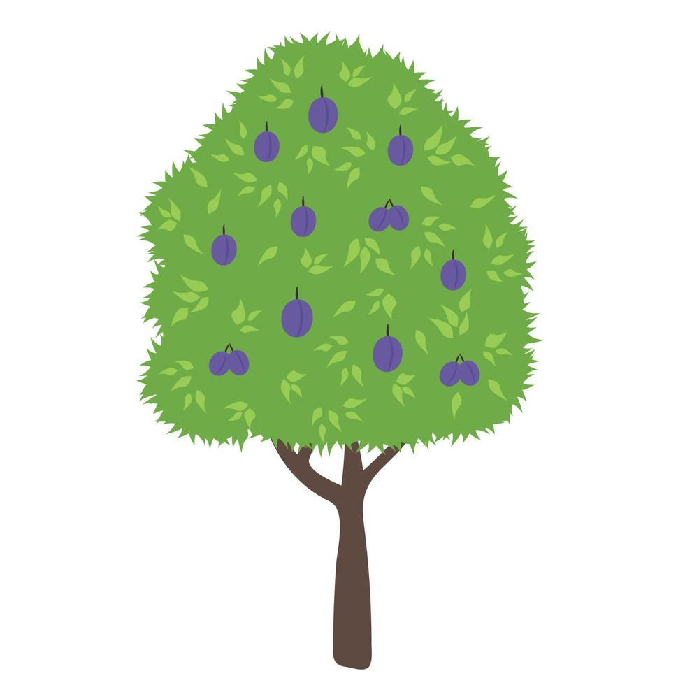 ciruelo. dibujos animados planos de árboles frutales verdes. simple y colorido símbolo de jardín orgánico. ilustraciones vectoriales aisladas. vector