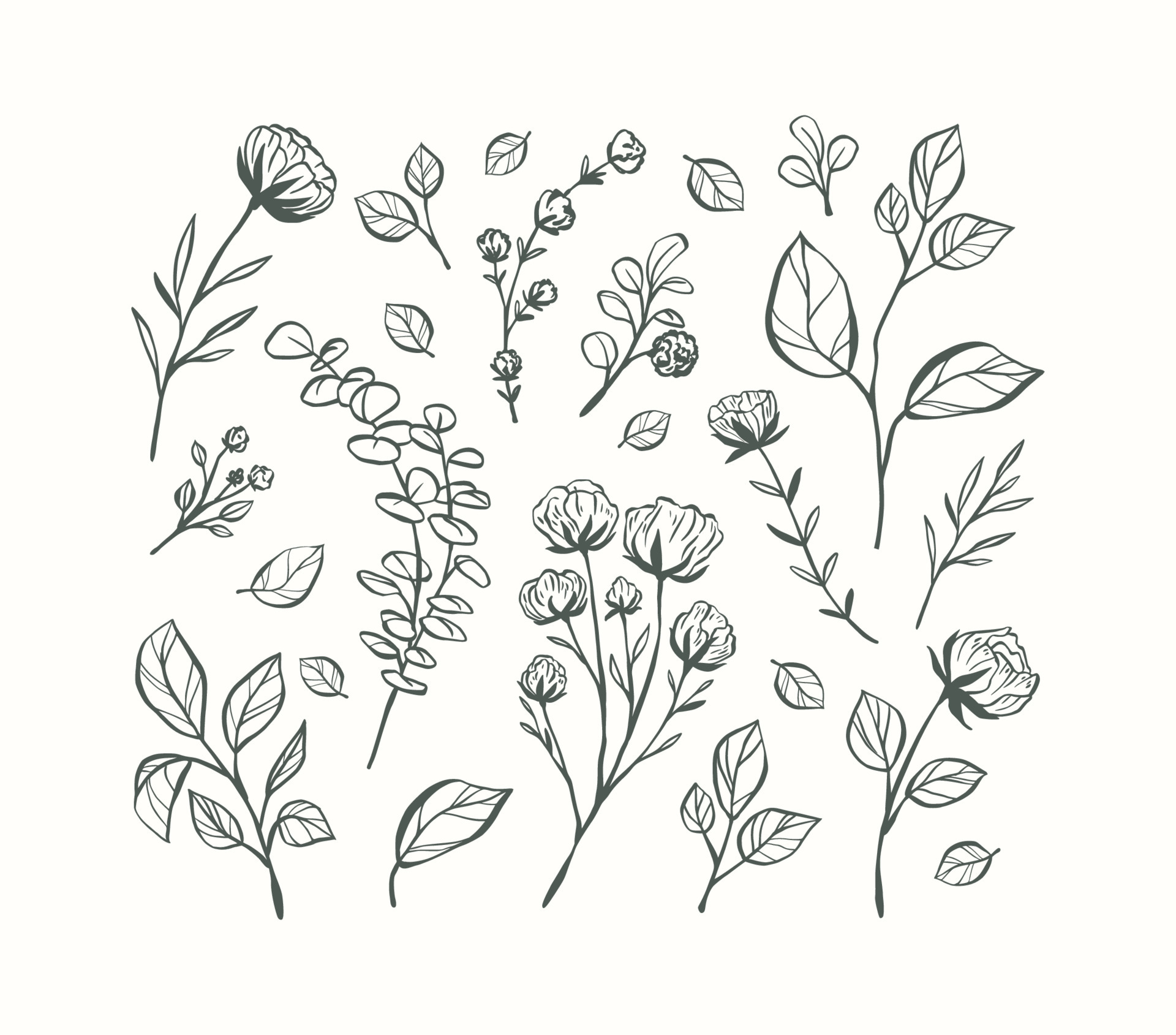 Hand drawn flower collection 5246711 Vector Art at Vecteezy