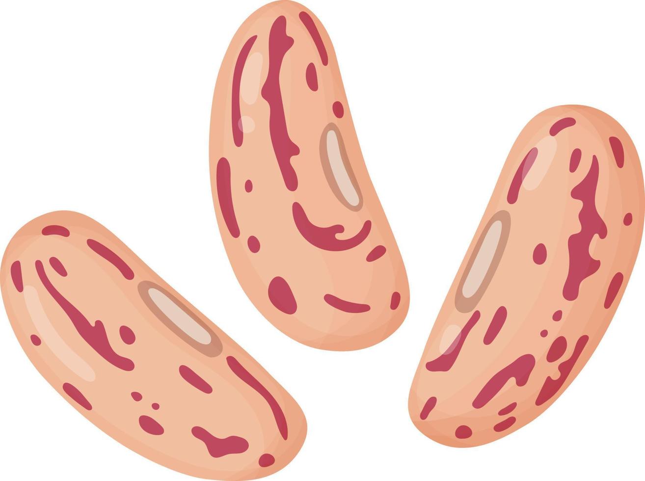 Kidney beans. Beans in cartoon style. Healthy vegetarian food illustration. vector
