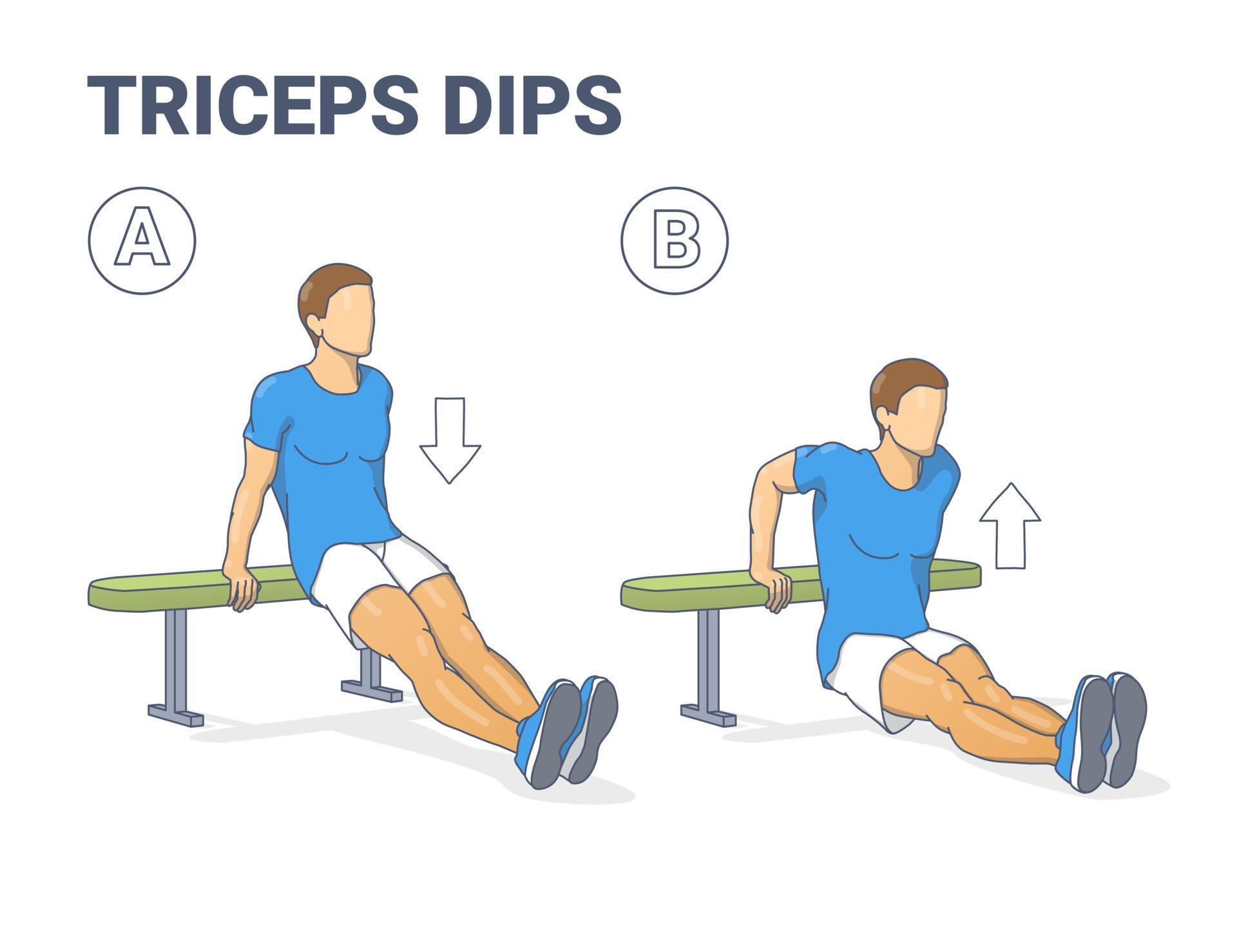 Man Doing Bench Triceps Dips. Workout Exercise Guide. Colorful Concept